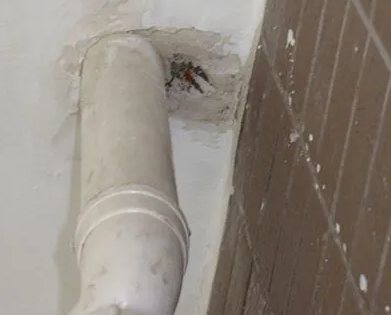 安塞漏水检测哪家好